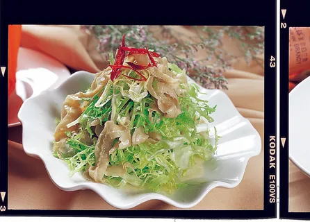 92LC68苦菊敬裙边 92LC68苦菊敬裙边