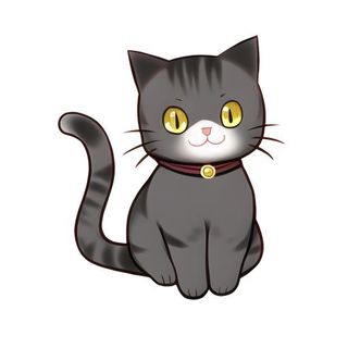 猫动物宠物免抠