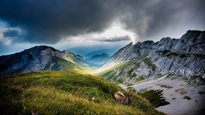 唯美自然风景