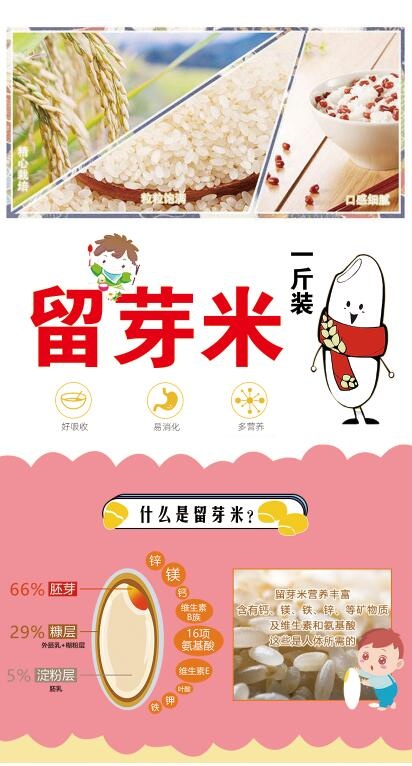 留芽米 大米海报psd模版下载
