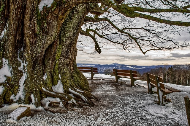 冬天白雪背景风景