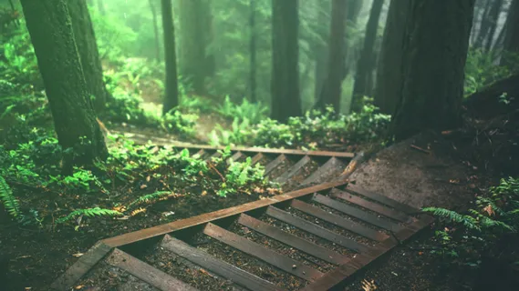 山 背景  自然 美丽 云 地平线 绿色 夏天 季节 草本植物 幻想