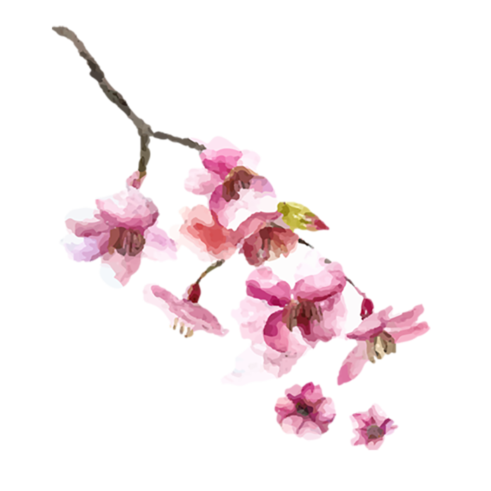 粉色花枝桃花情人节