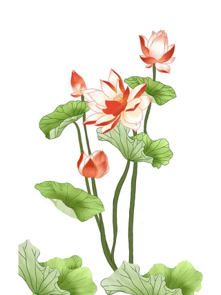 国潮中国风手绘荷花莲花荷叶莲藕植物花卉装饰插画PSD设计素材