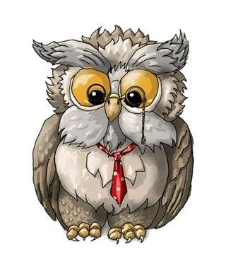 猫头鹰卡通
