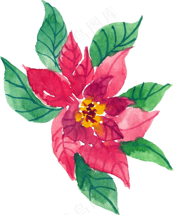 冬季圣诞节花卉果花圈植物免抠海报PNG素材