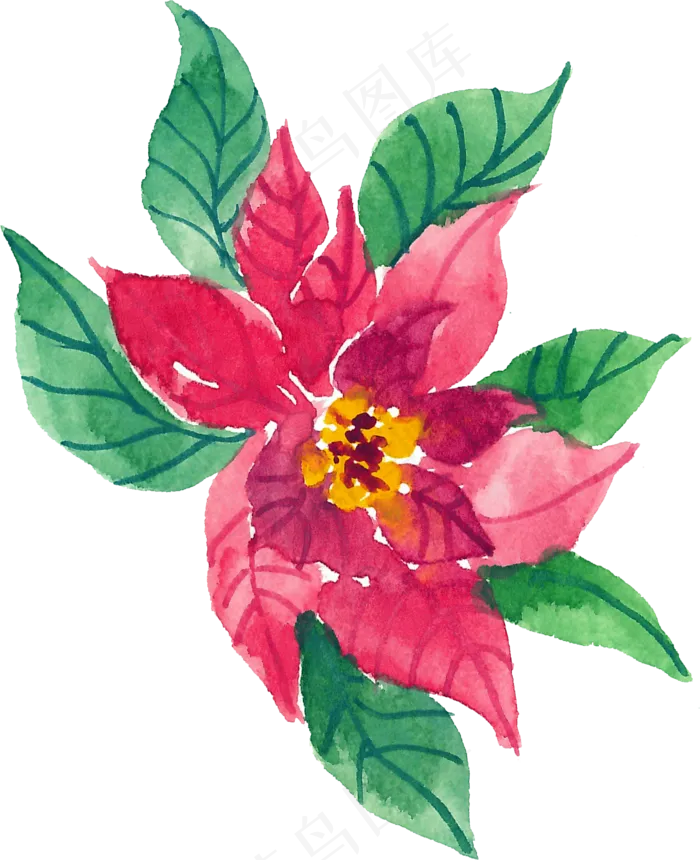 冬季圣诞节花卉果花圈植物免抠海报PNG素材