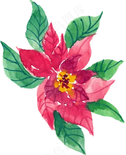 冬季圣诞节花卉果花圈植物免抠海报PNG素材 冬季圣诞节花卉果花圈植物免抠海报PNG素材