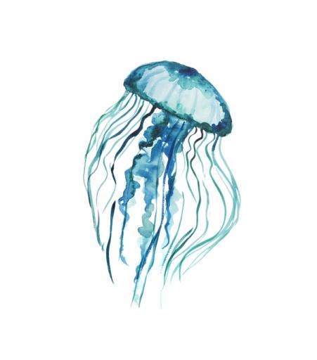 水母 PNG免抠(600x680)