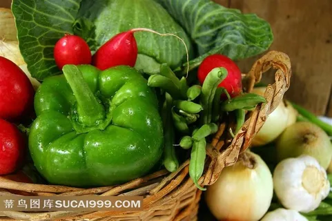 菜篮子里的多种蔬菜图片