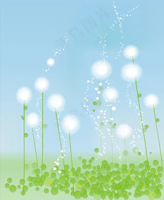 蒲公英背景图片