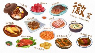 美食插画安徽菜美食炖鸡烧鸭煲仔饭面汤