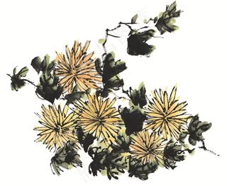 花卉系列摄影图片