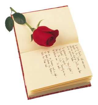 红色玫瑰书本