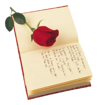红色玫瑰书本