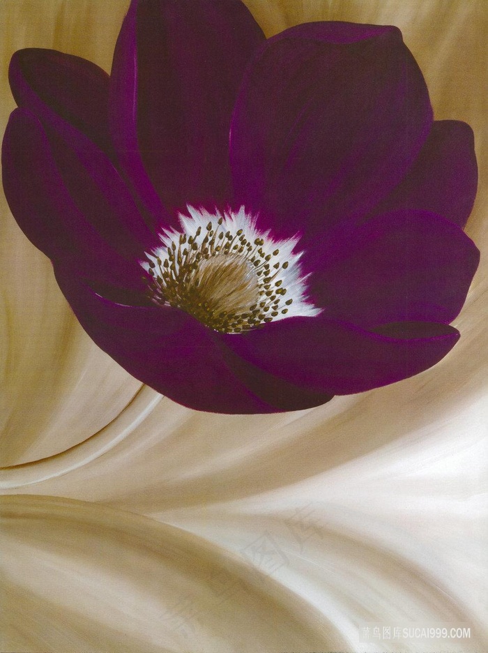 紫色花卉高清油画