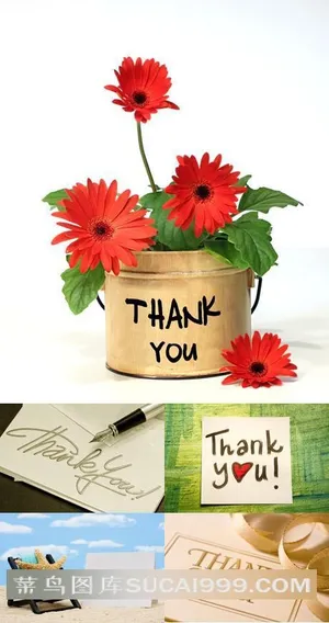 thank you 卡片高清图片素材