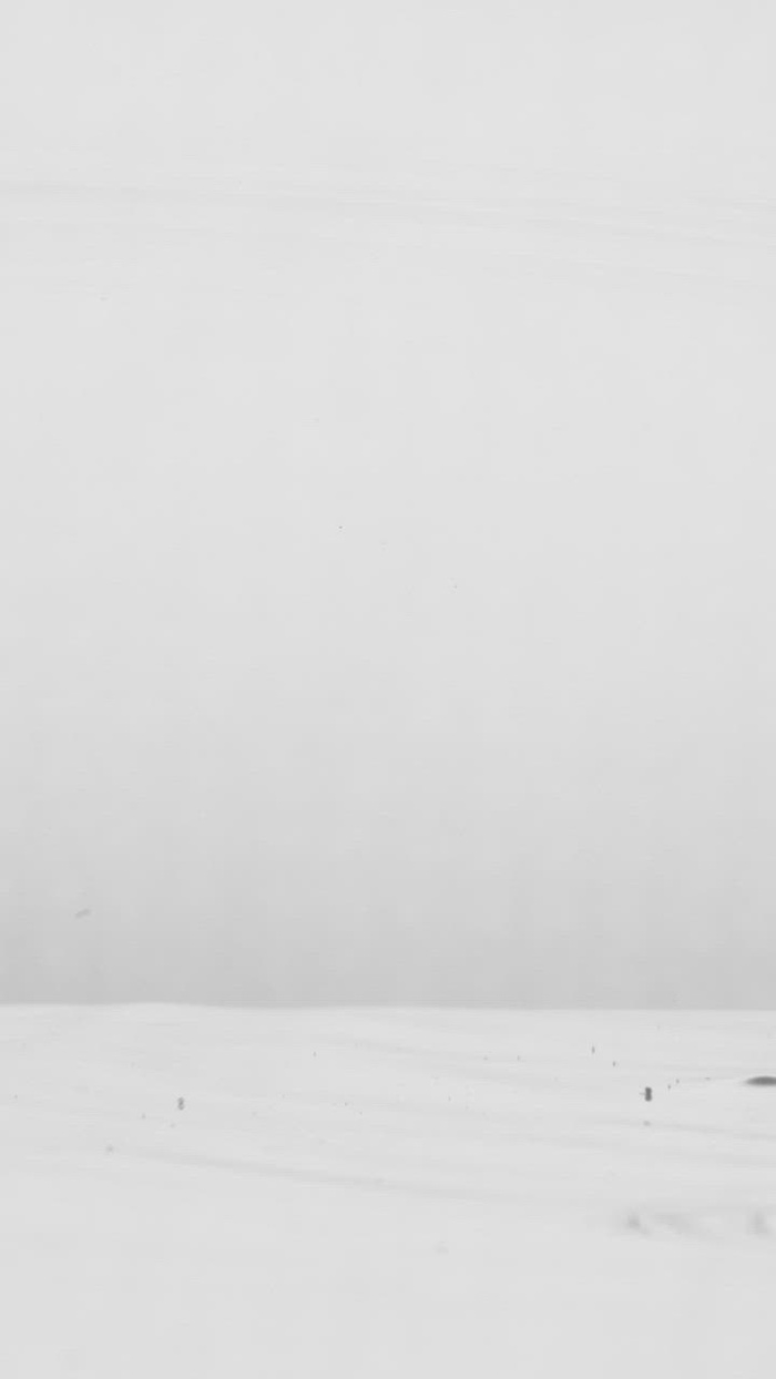 水下喷出的黑色墨水