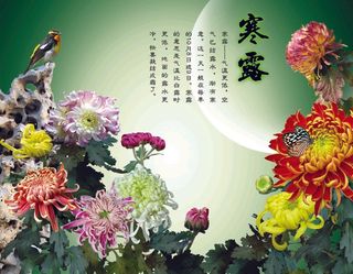 寒露 节气稿 地产 背景 寒霜 微信 推图 微信