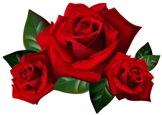 鲜花玫瑰免扣素材