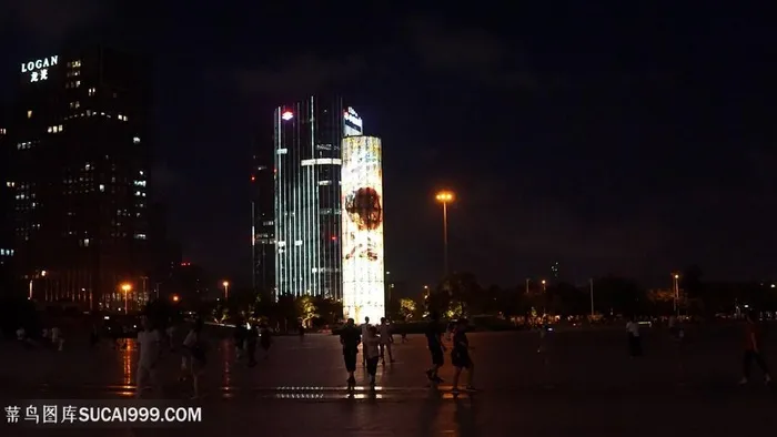 公园夜景高楼