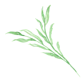 唯美森系手绘水彩花朵 免抠