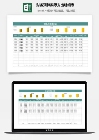 2财务预算实际支出明细表