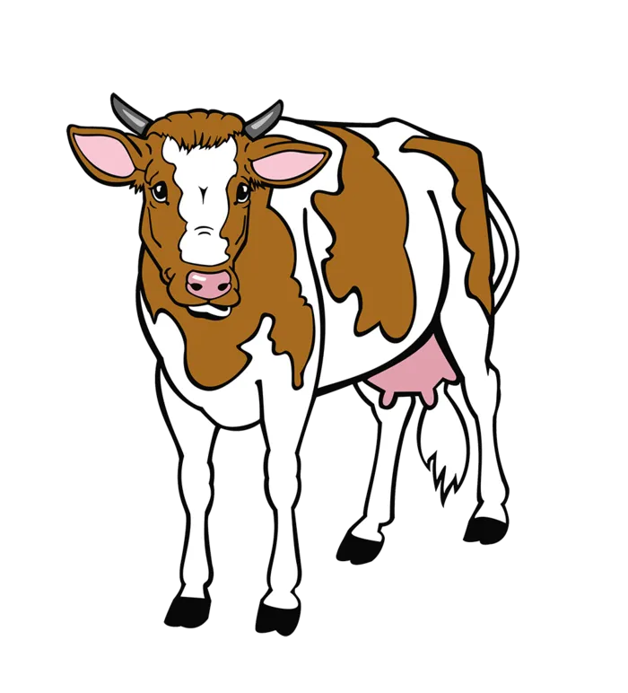 褐色奶牛现代农业