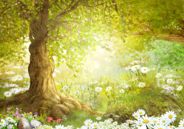 绿色大树白菊背景