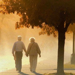 父母年长老人父亲节母亲节温馨落日背影