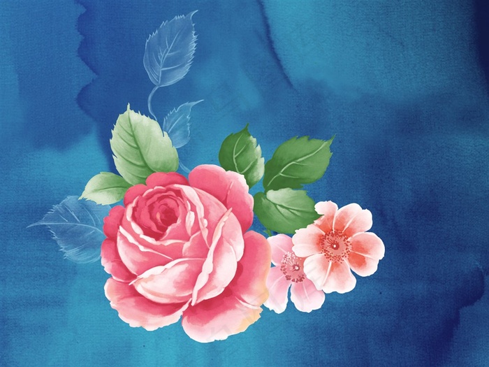 艺术月季花朵绘画