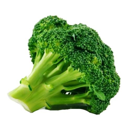 西兰花 PNG免抠(500x500)