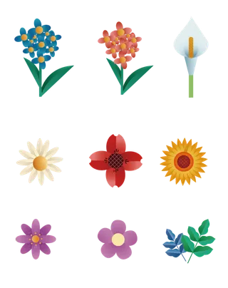 美丽的花朵春季花卉花朵元素插画