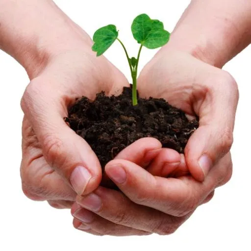 手中的泥土 PNG免抠(520x520)