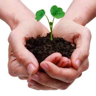 手中的泥土 PNG免抠