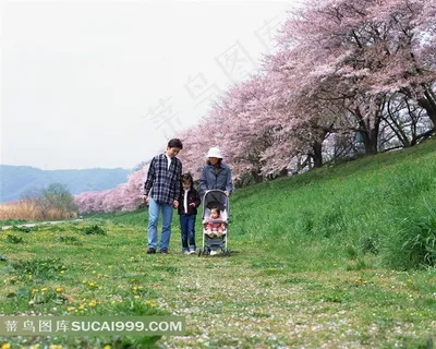 郊游踏青的幸福家人素材
