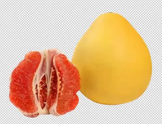 柚子免扣素材