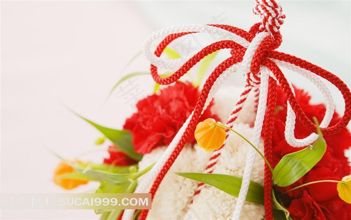 静物鲜花图片素材