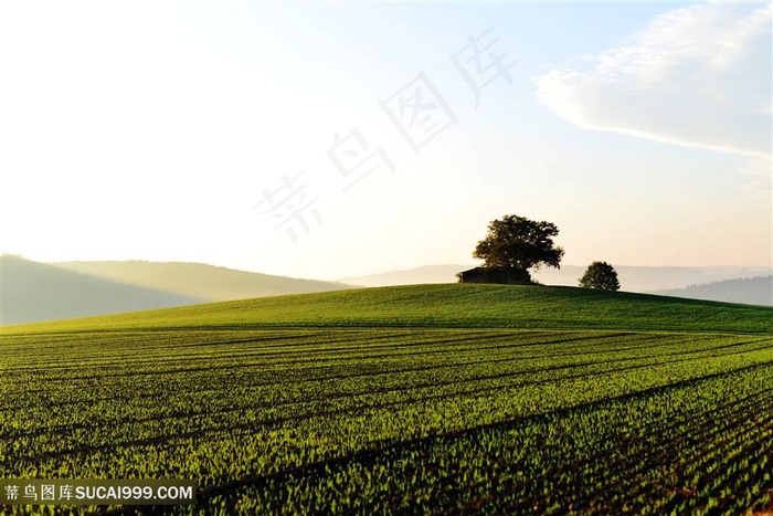 绿色耕地图片素材