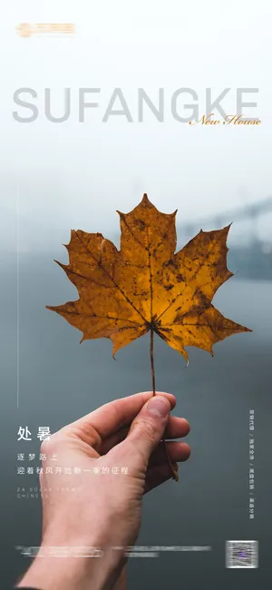 房地产 二十四 节气 系列 海报