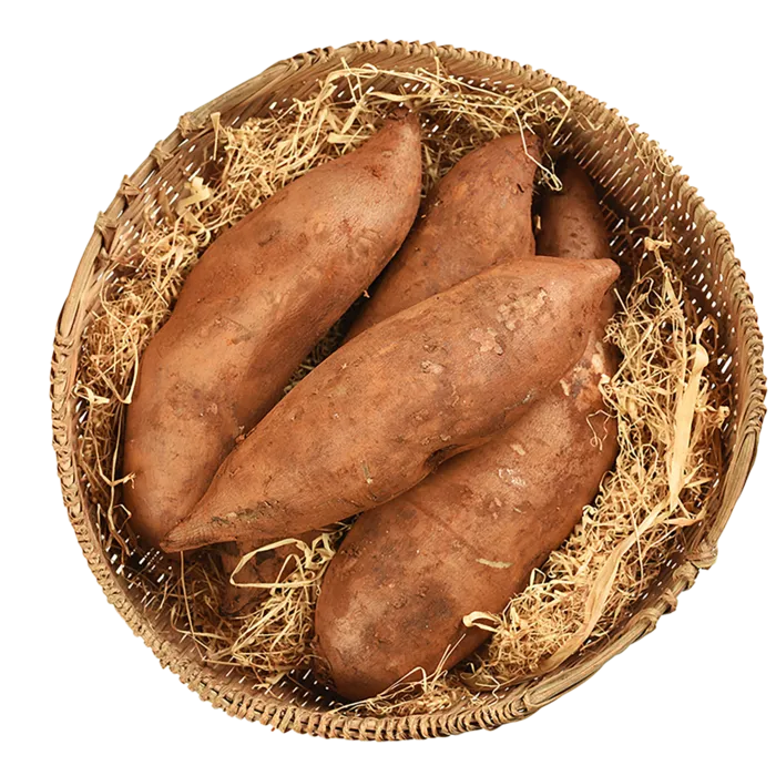 A-雪莲果水果超市商品白底图免抠实物摄影png格式图片透明底