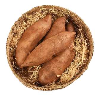 A-雪莲果水果超市商品白底图免抠实物摄影png格式图片透明底