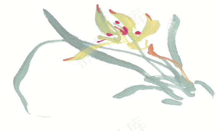 花卉高清素材