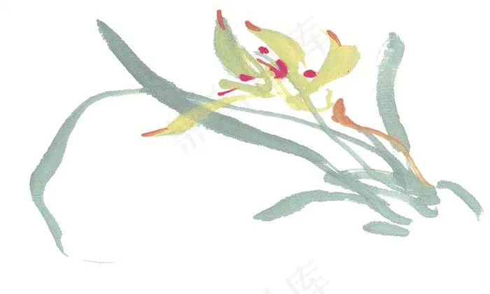 花卉高清素材