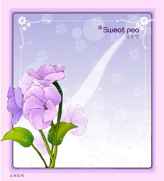 手绘花卉装饰边框背景