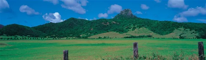 青山草地大幅风景 青山草地大幅风景