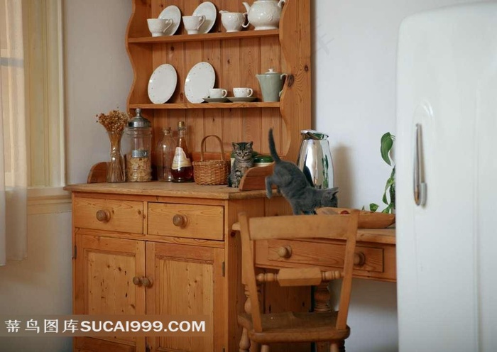 柜子上的猫咪摄影