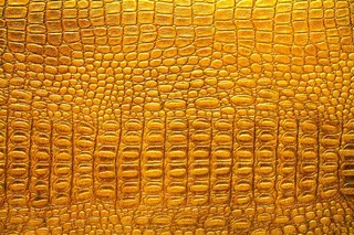 质感蛇皮纹路素材