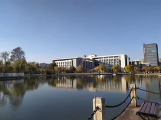 春天校园风光湖水阳光