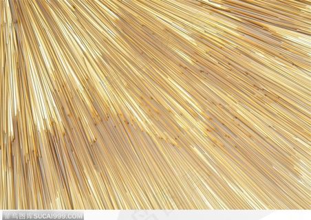 食物背景-玉米面条